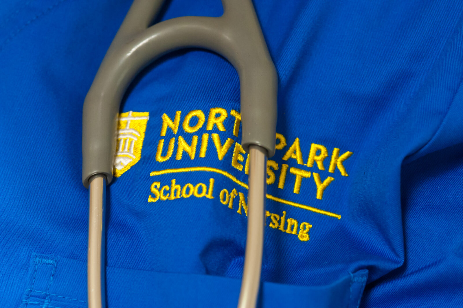 North Park Nursing Programs Included in List of Best in Chicago