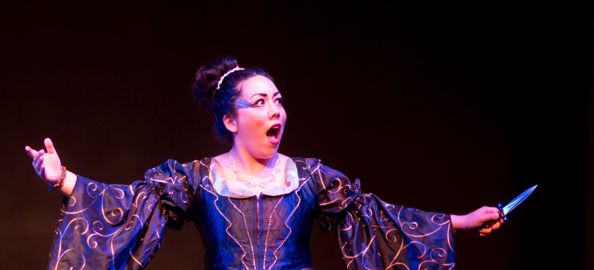 Master Of Music In Vocal Performance North Park University