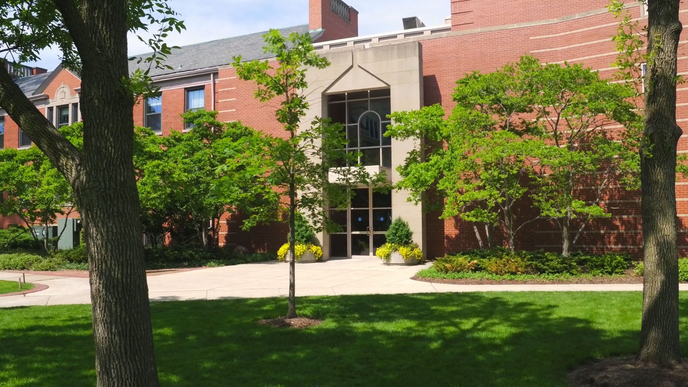 Honoring Veterans Day - North Park University