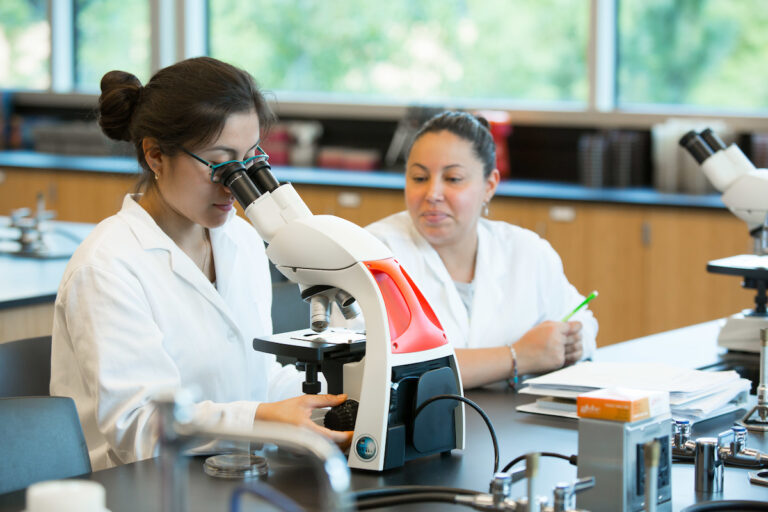 Molecular Biology and Biotechnology (BA, BS) North Park University