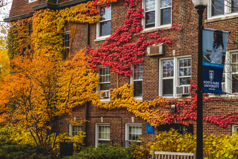 Student Spotlight: Base Camp–Brandel Library featured image background