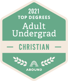 Top Degrees, Adult Undergrad, Christian, 2021