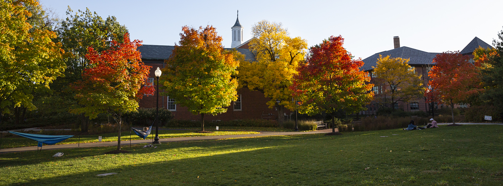 Thomas Mitchell  Center for Applied Plant Sciences