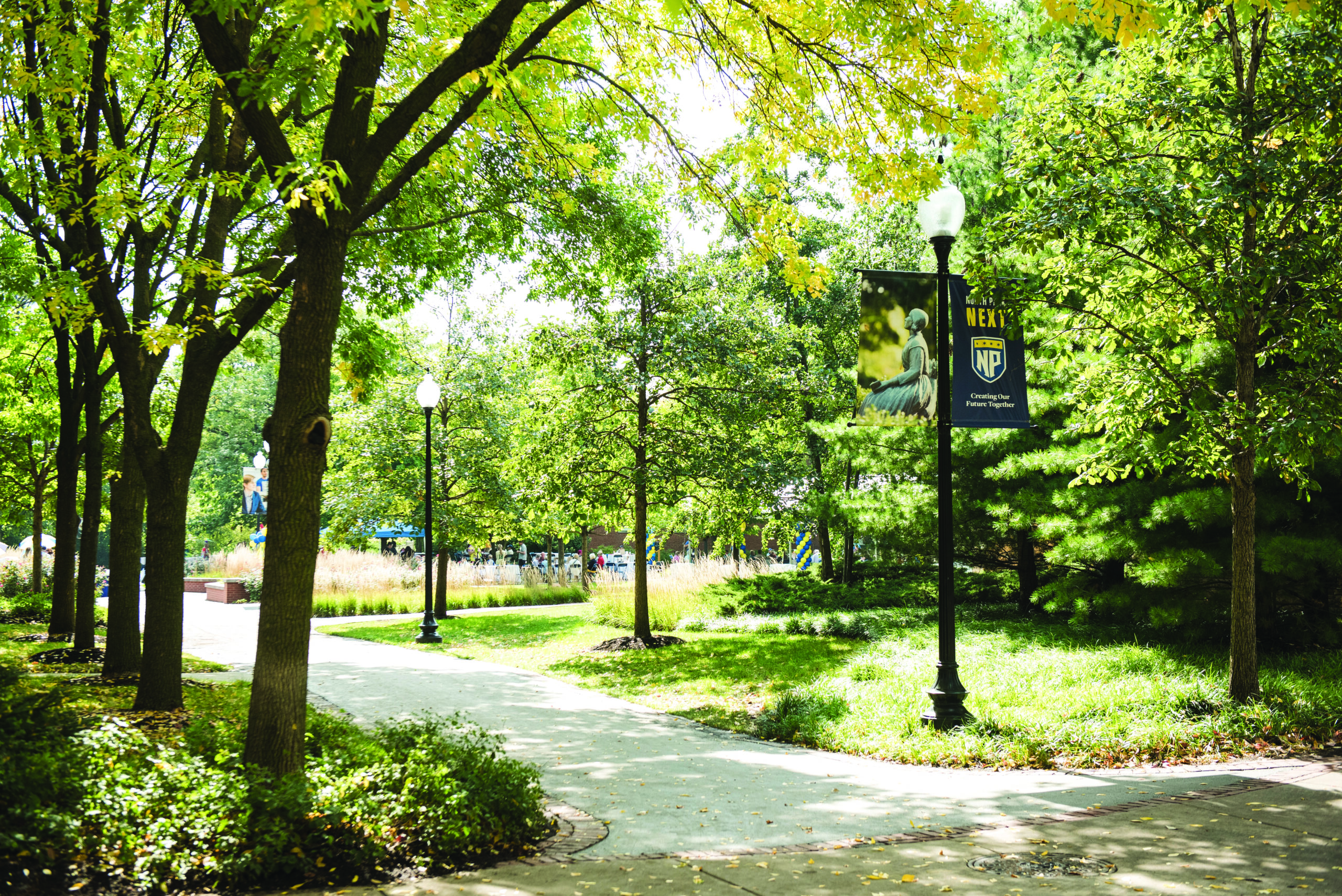 North Park campus trees and path during the summer