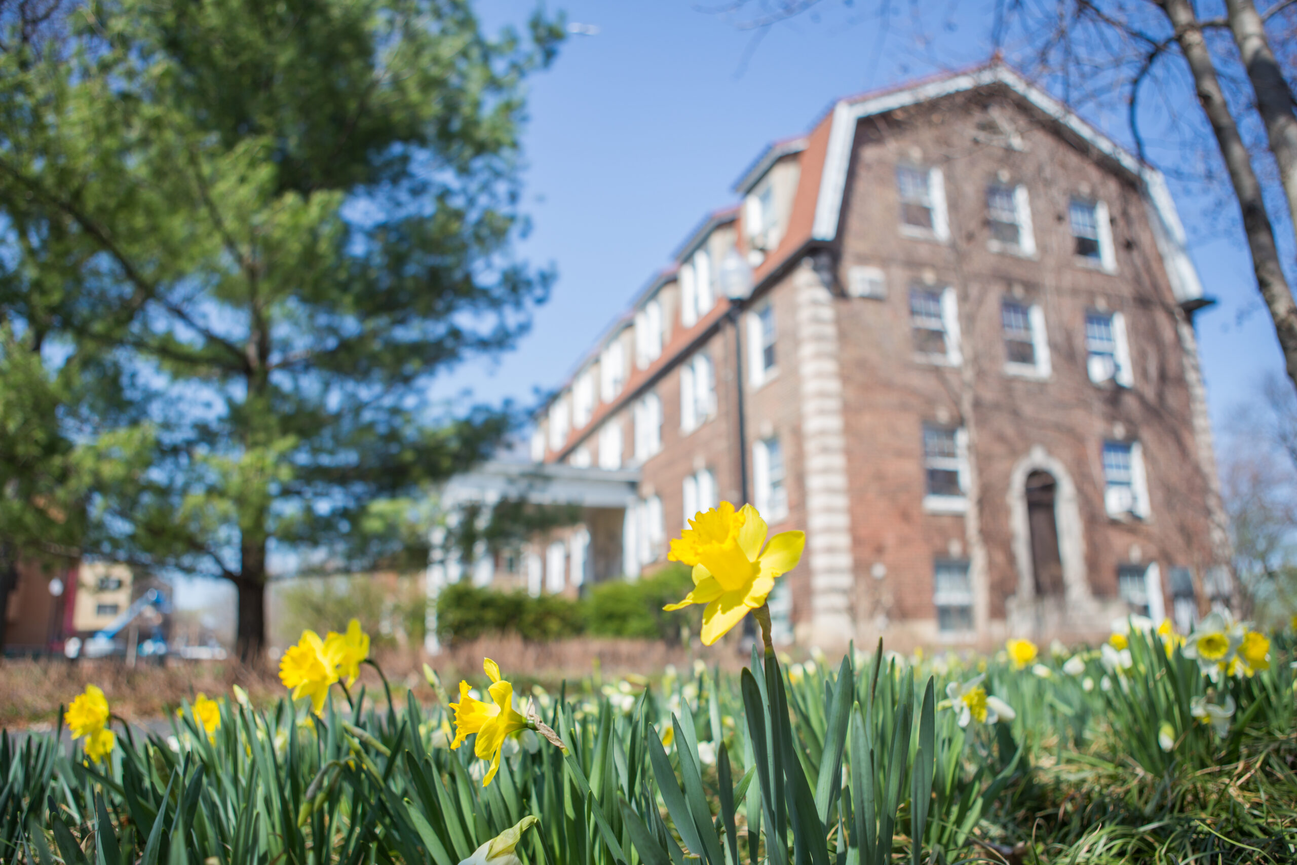 Stories Archives North Park University