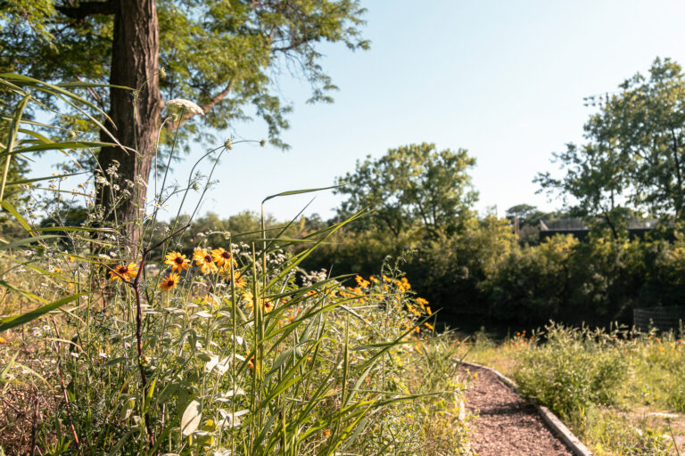 ý Alumna Named Head of Regional EPA Office featured image background