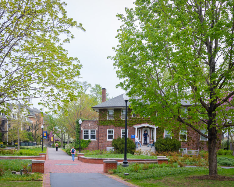 North Park University Expands Online Graduate Programs featured image background